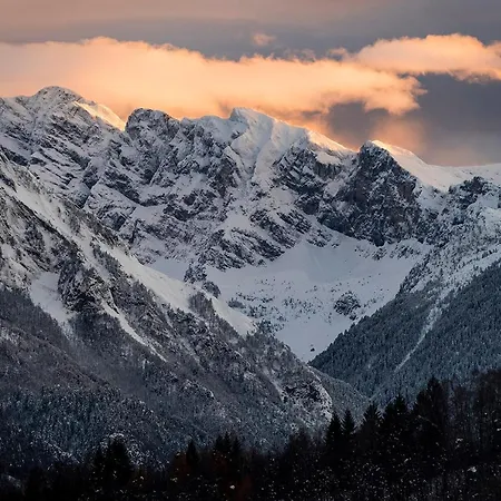 Iduevagamondi Immerso Nel Bosco Tra Le Montagne Con Area Benessere Extra ベッド・アンド・ブレックファスト