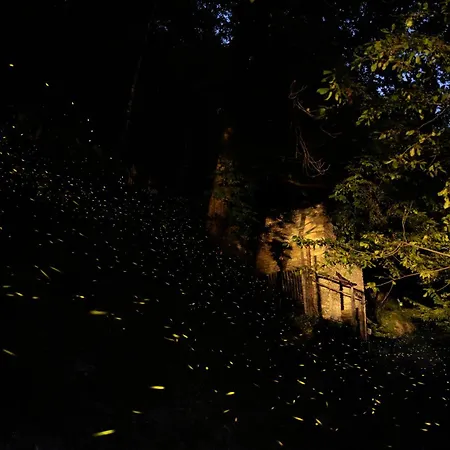 Iduevagamondi Immerso Nel Bosco Tra Le Montagne Con Area Benessere Extra Chiusa di Pesio