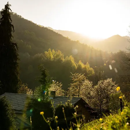 Bed & Breakfast Iduevagamondi Immerso Nel Bosco Tra Le Montagne Con Area Benessere Extra 3*