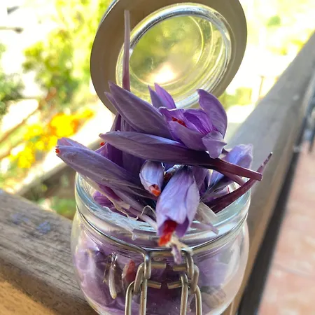 Iduevagamondi Immerso Nel Bosco Tra Le Montagne Con Area Benessere Extra 3* Chiusa di Pesio