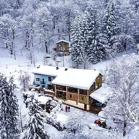 Couette-café Iduevagamondi Immerso Nel Bosco Tra Le Montagne Con Area Benessere Extra 3*