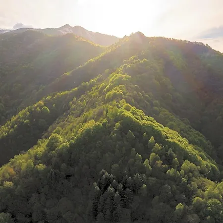 Iduevagamondi Immerso Nel Bosco Tra Le Montagne Con Area Benessere Extra