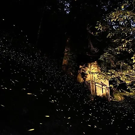 Iduevagamondi Immerso Nel Bosco Tra Le Montagne Con Area Benessere Extra 3*