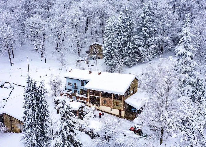 Nocleg ze śniadaniem Iduevagamondi Immerso Nel Bosco Tra Le Montagne Con Area Benessere Extra 3*