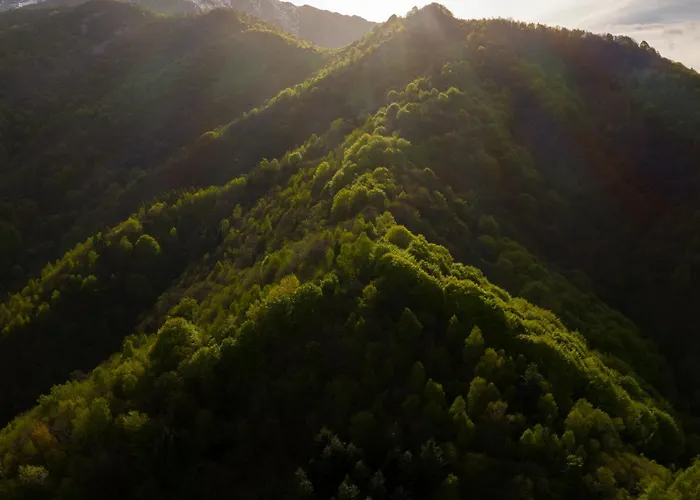Iduevagamondi Immerso Nel Bosco Tra Le Montagne Con Area Benessere Extra 3*