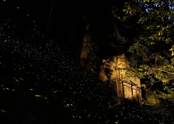 Iduevagamondi Immerso Nel Bosco Tra Le Montagne Con Area Benessere Extra Chiusa di Pesio